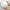 150mm - 15cm polystyrene hollow ball for craft or display