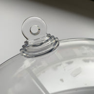 250 mm diameter Clear Plastic Ball